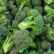 Group of broccoli