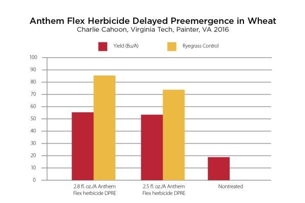 Anthem Flex Herbicide Delayed Preemergence in Wheat