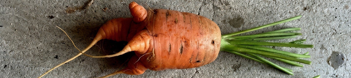 Ugly Carrot