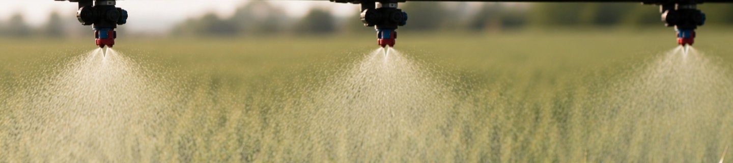 Wheat spraying
