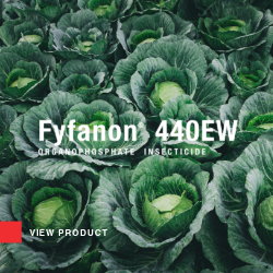 Fyfanon