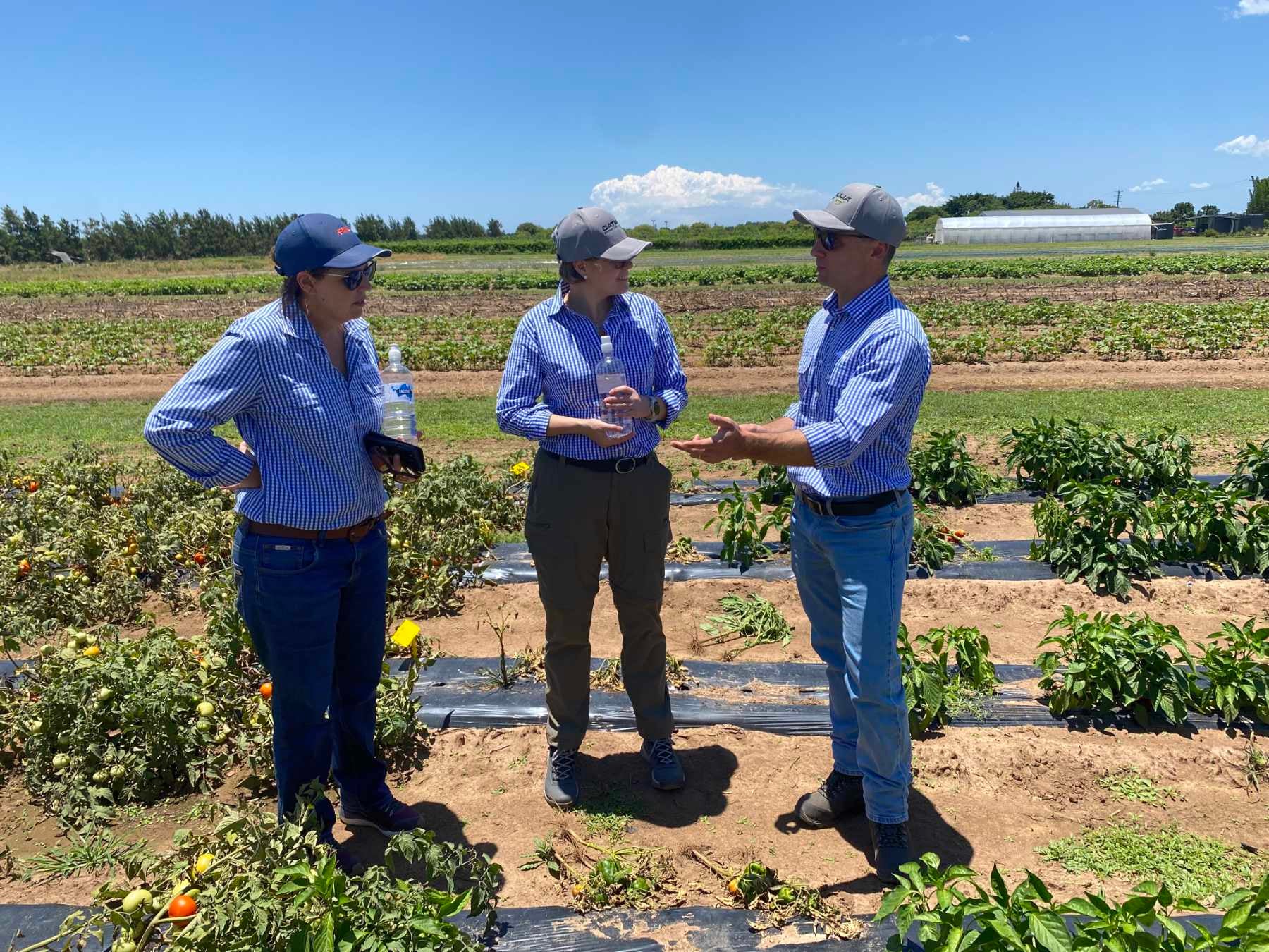 Dr Sylwia Fudali-Alves