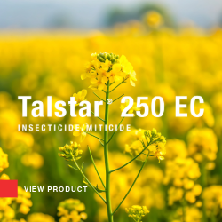 Talstar