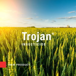 Trojan