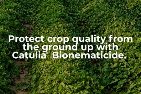 Catulia® Bionematicide