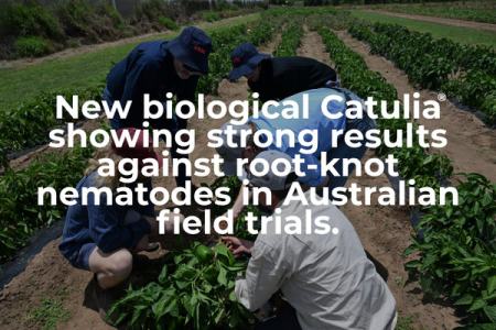New biological Catulia® 