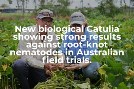 The science behind FMC’s biological nematode control