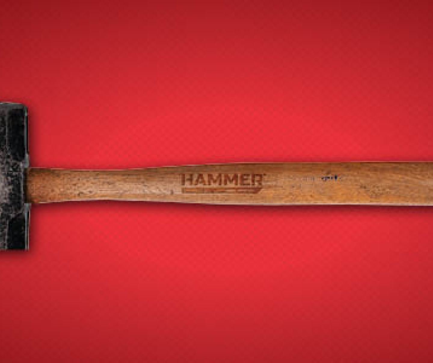 Hammer® 400EC Herbicide