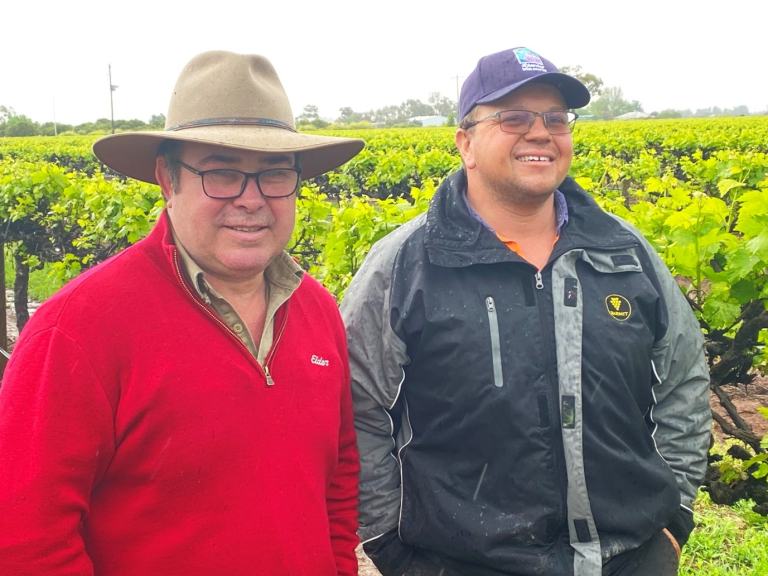 Elders Griffith Horticultural Agronomist, Steve Hirst and viticulturalist and contractor Steven Barbon