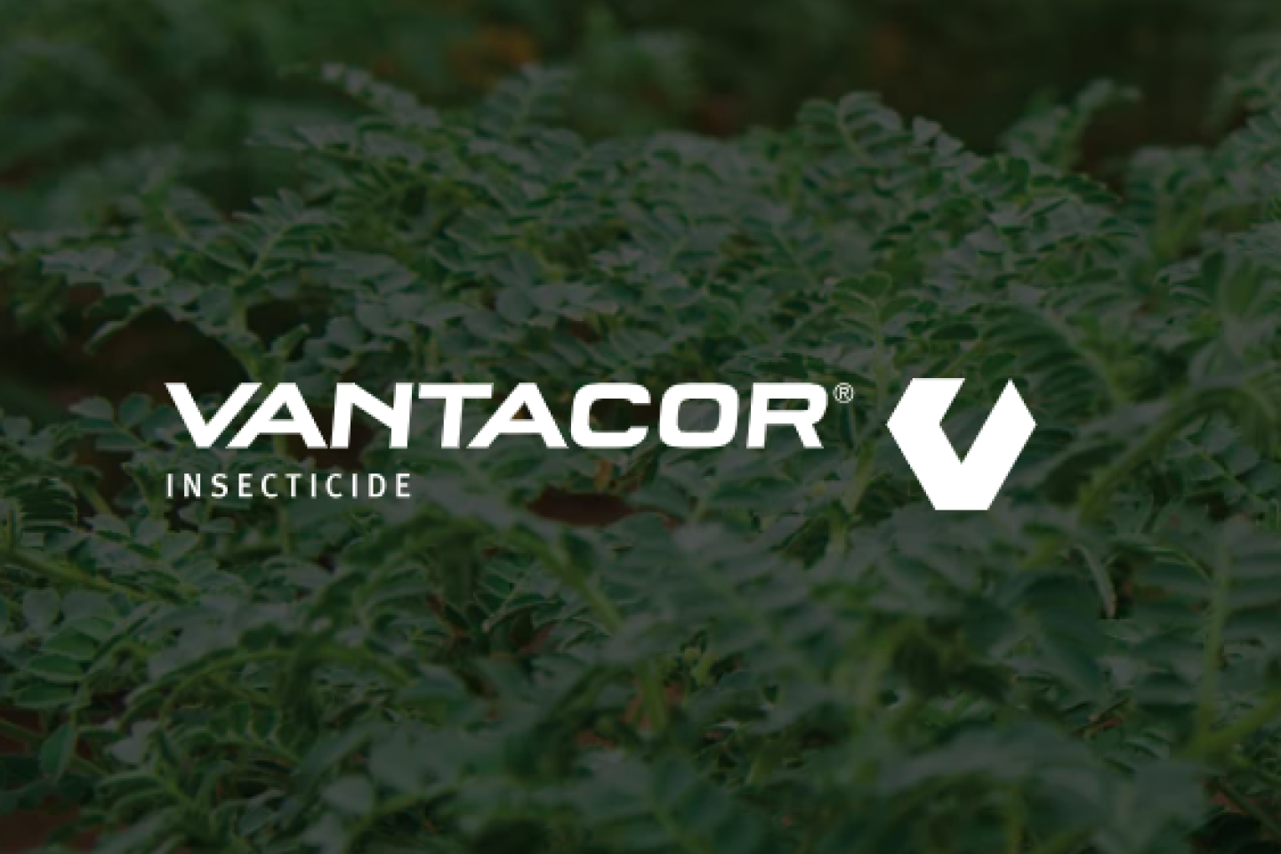 Vantacor®