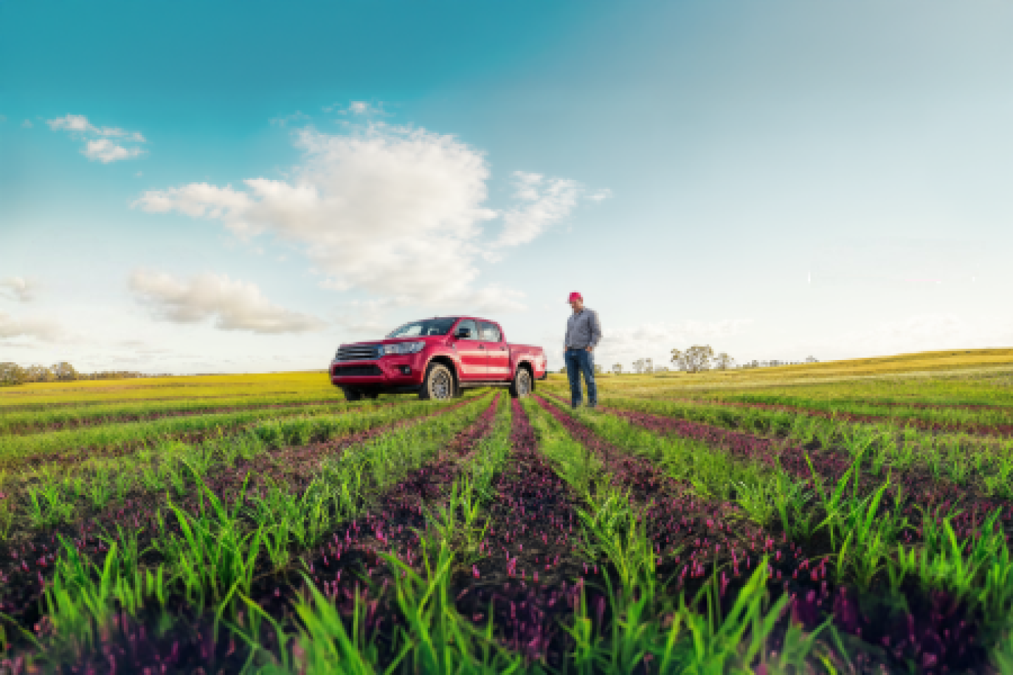 Overwatch Wheat Card