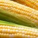 sweet corn