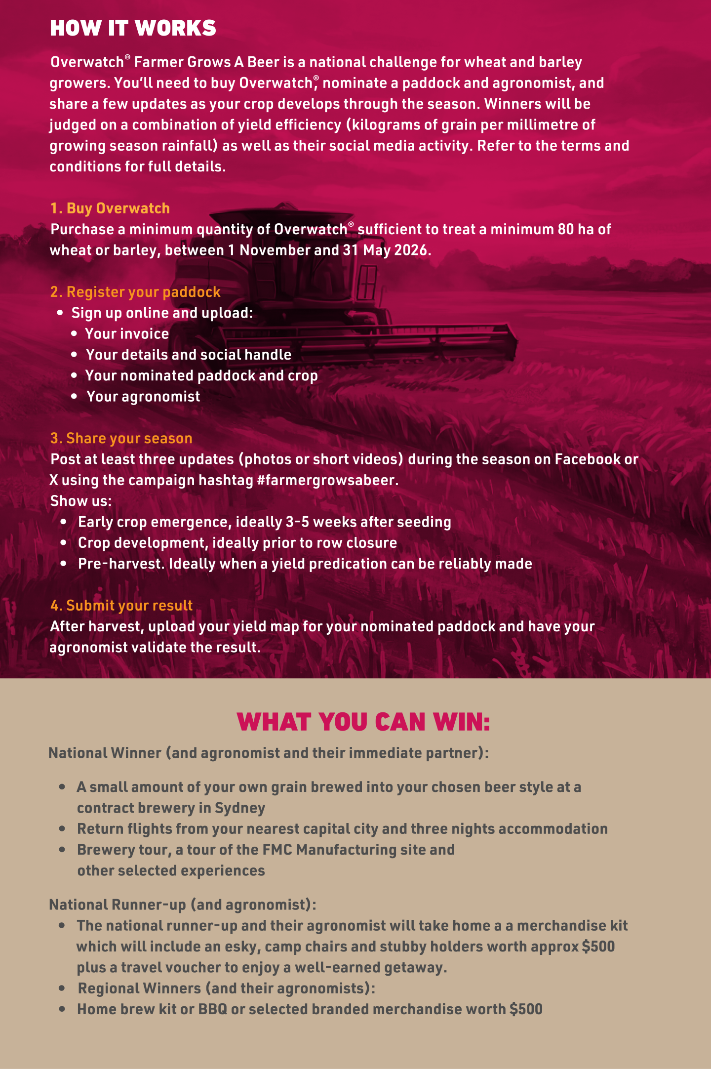 how it works + what you can win