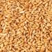 cereals seed