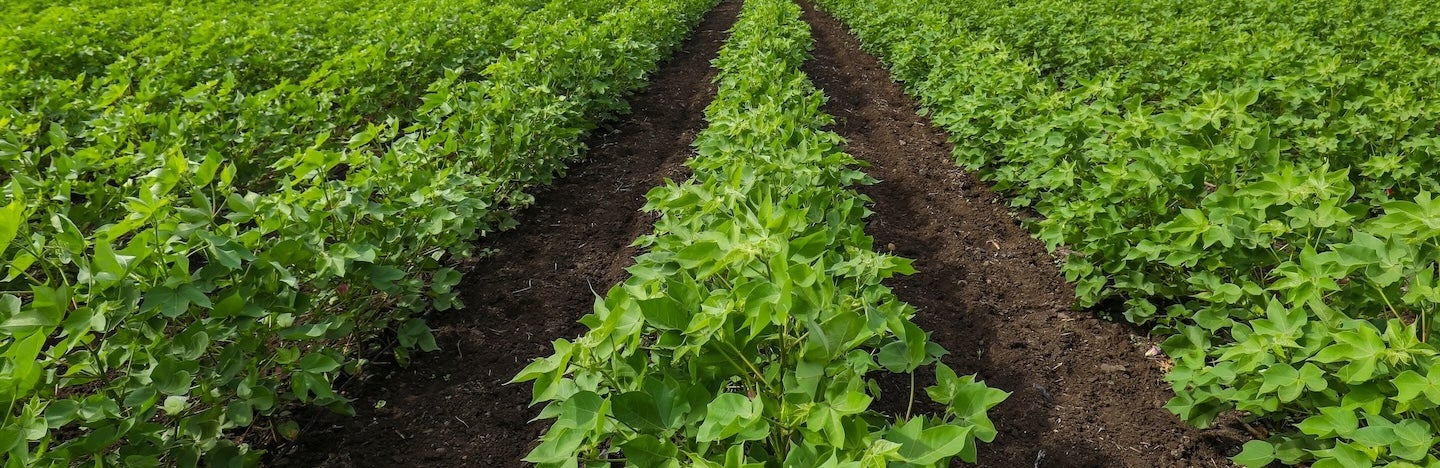 Technical Library Media item