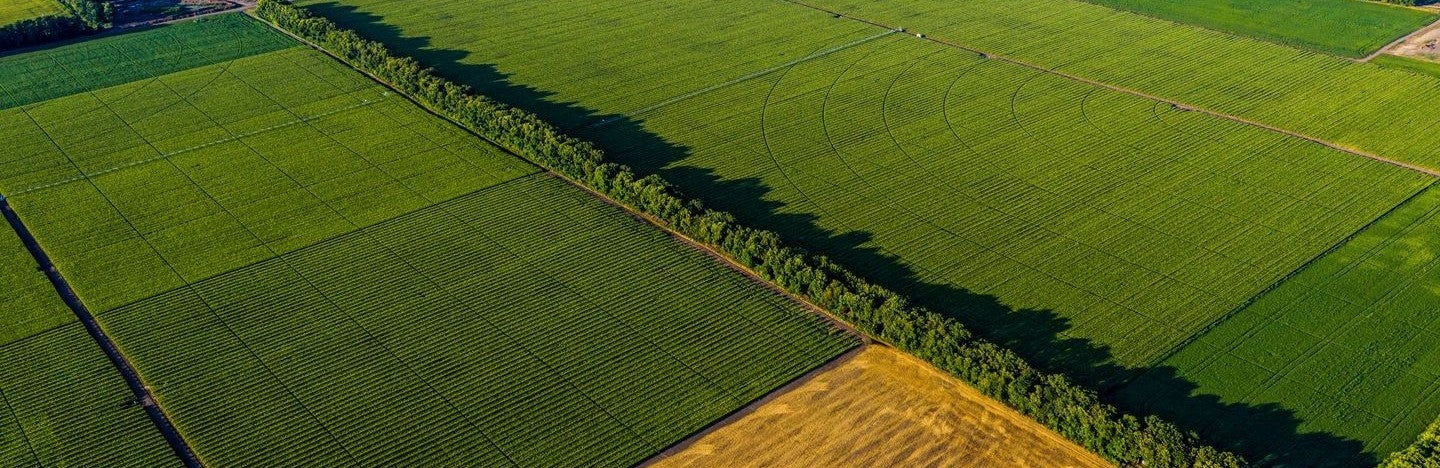 Поле отвисоко