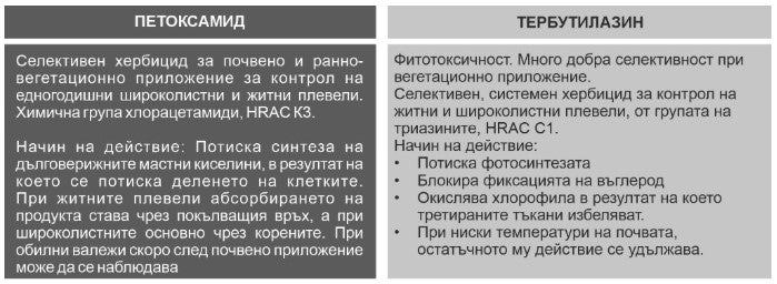 Съксесър активни