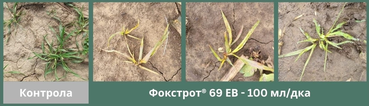 Фокстрот контрол