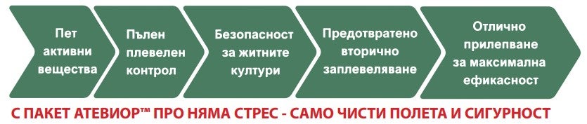Атевиор пет активни