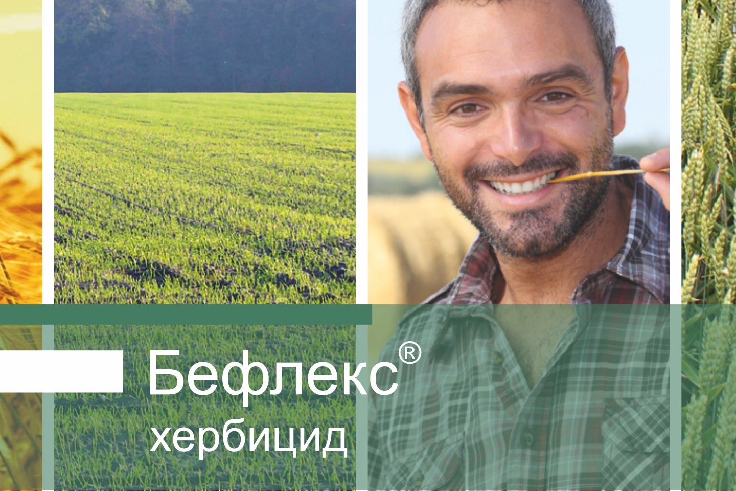 Бефлекс визия