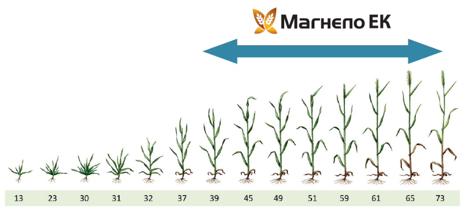Магнело схема