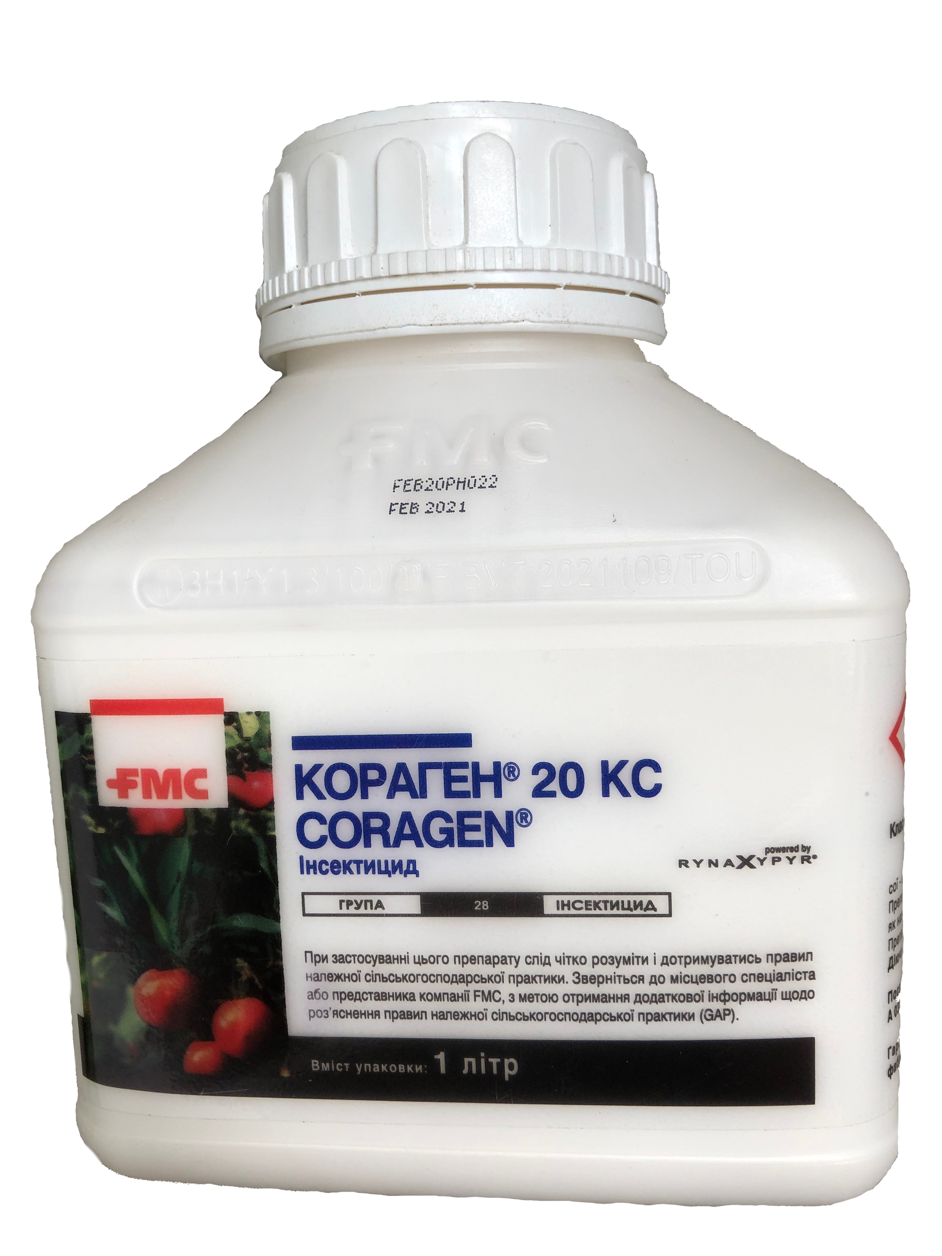 Голяма туба фалшив Кораген