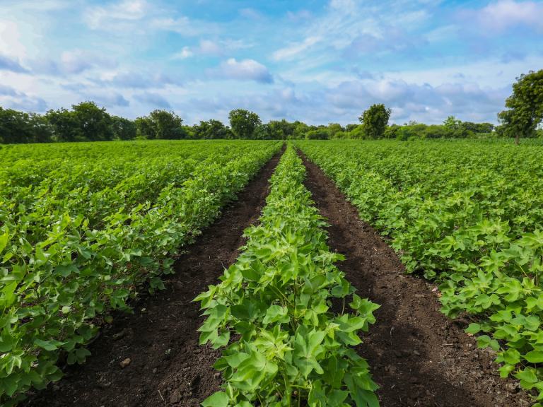 Technical Library Media item