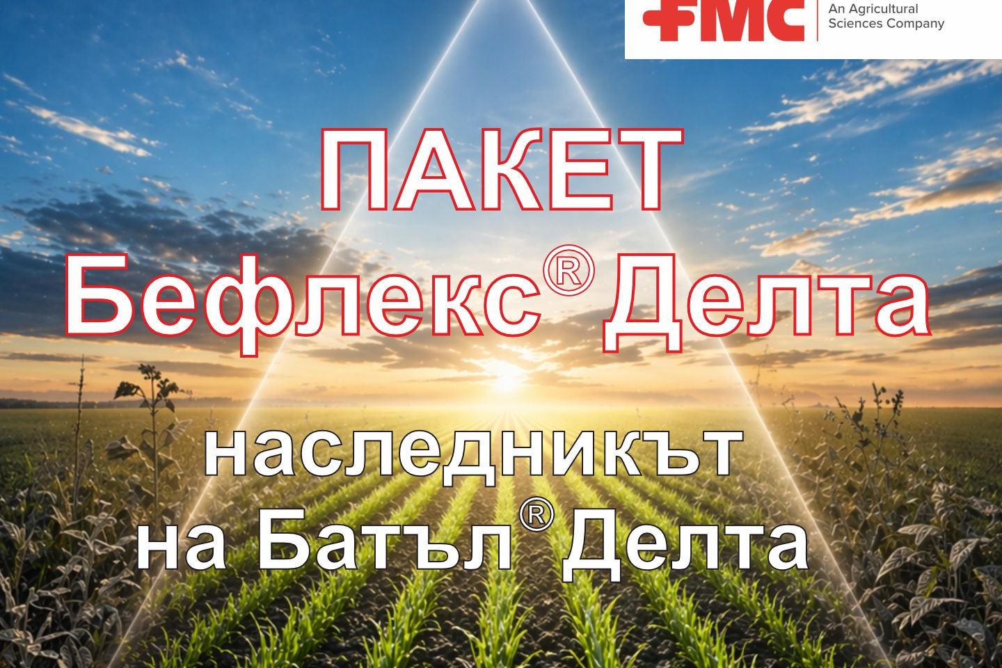 Бефлекс кард