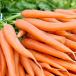 Carrots