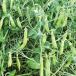 Peas