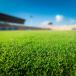 Sports terrain