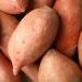 Sweet Potato