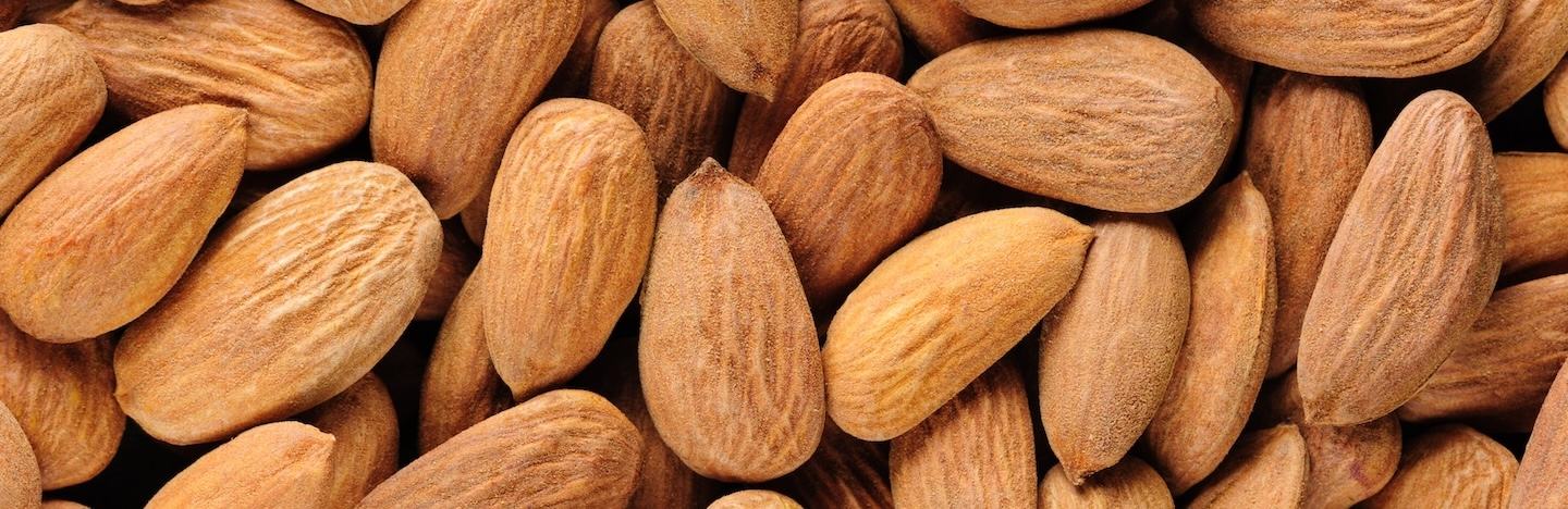 Черупкови видове