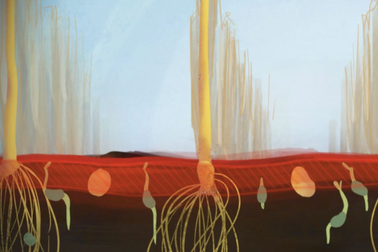 What is a PRE herbicide?