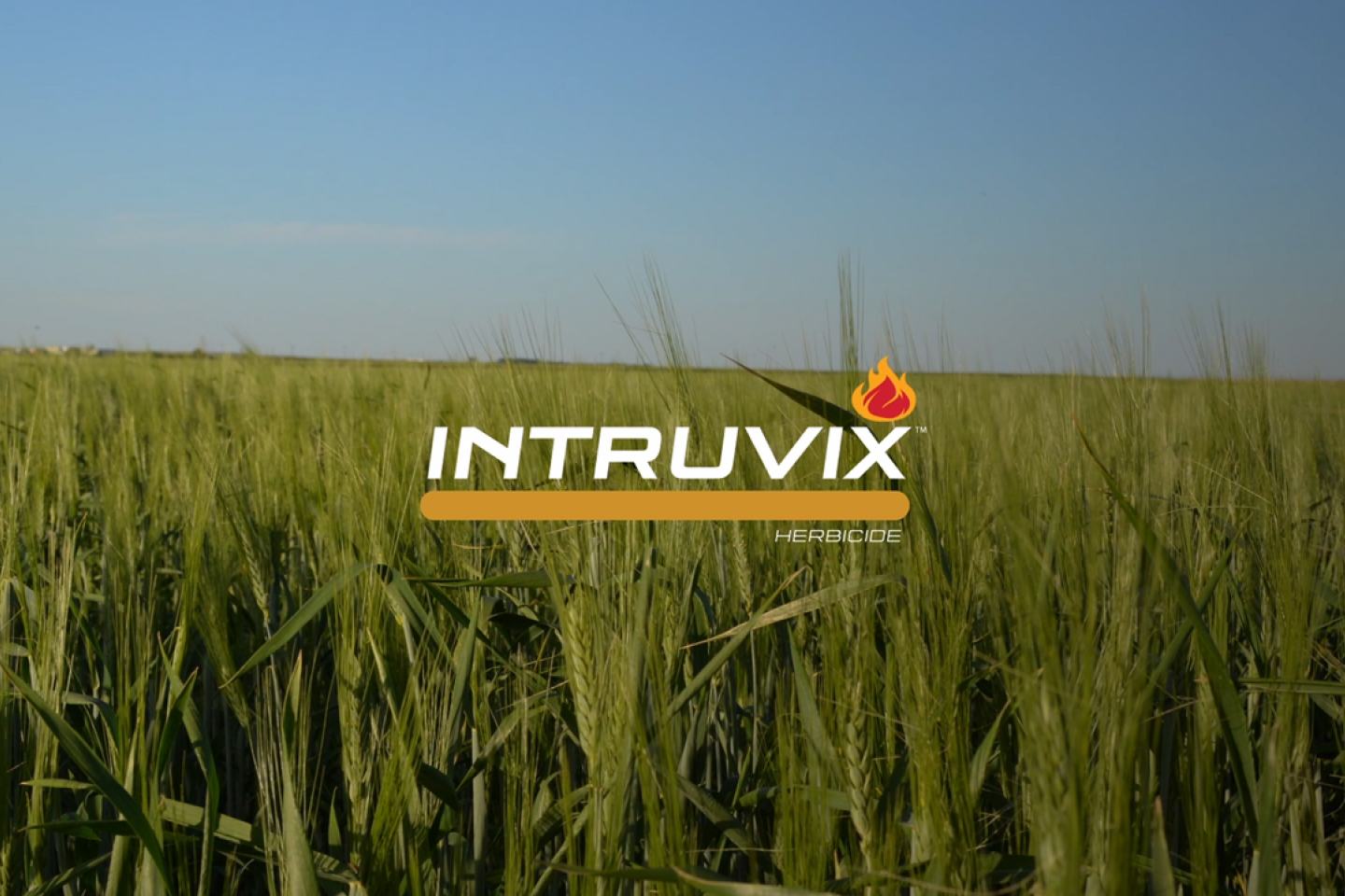 intruvix