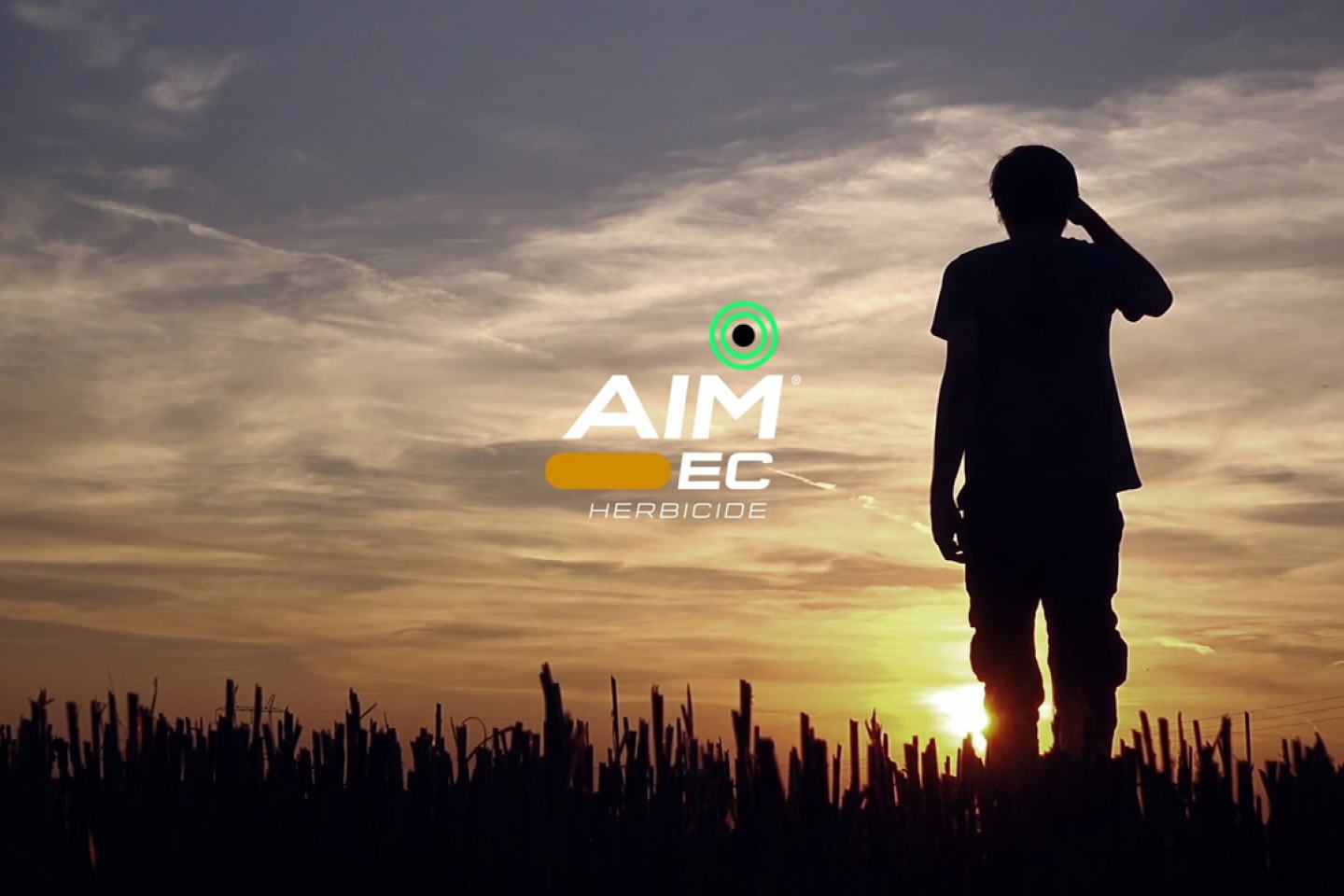Aim