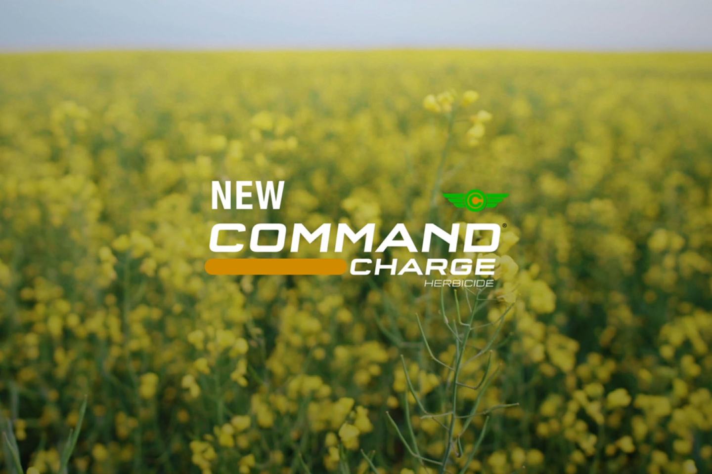 command charge