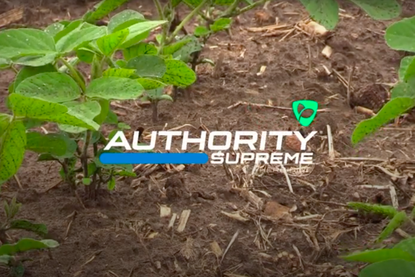 Authority Supreme