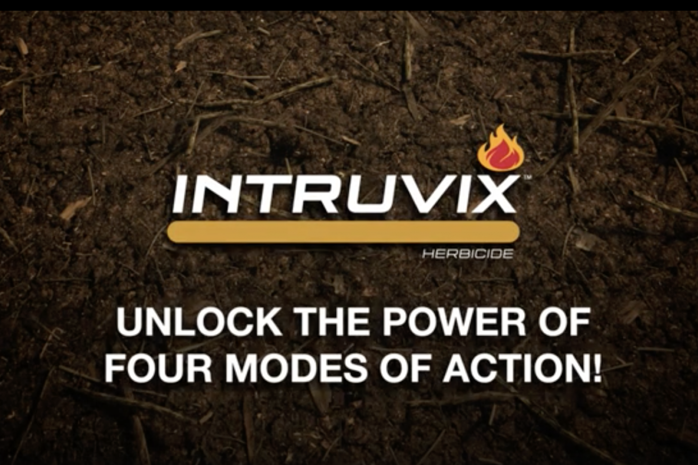 Intruvix herbicide