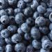 Blueberries