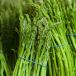 asparagus