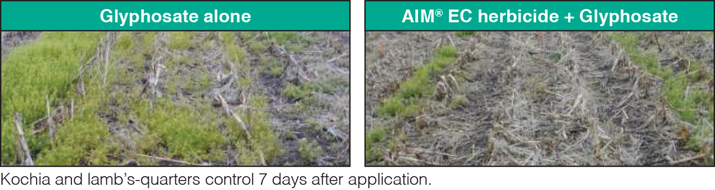 aim comparison 3