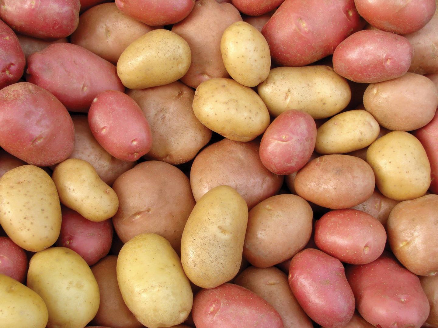 potatoes