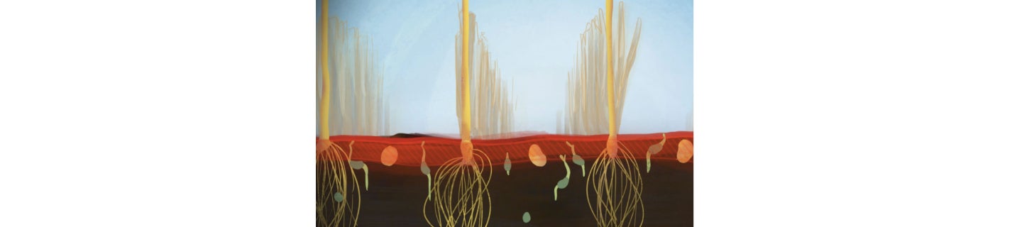 What is a PRE herbicide?