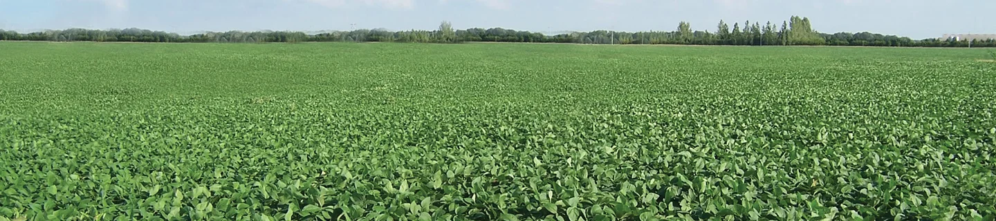 Timing is everything