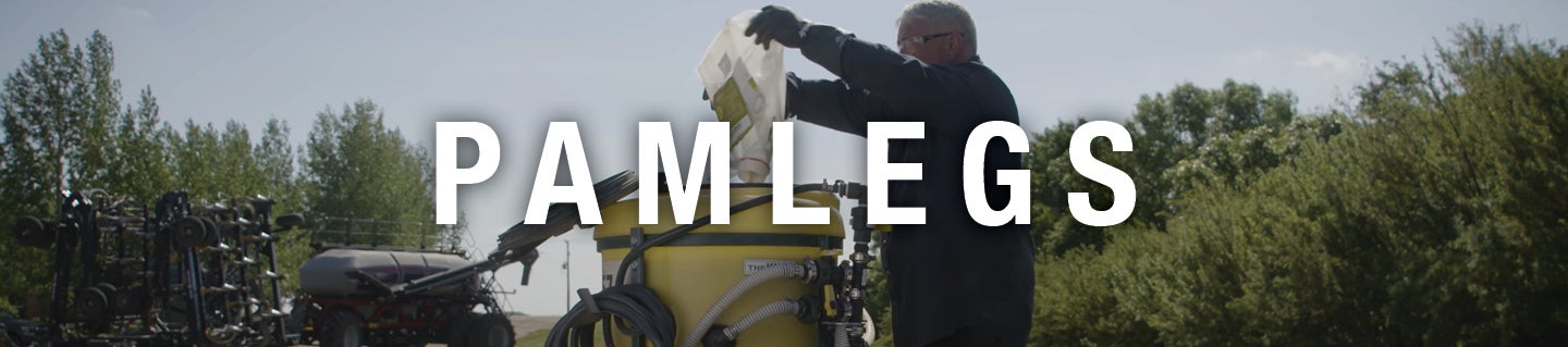 PAMLEGS