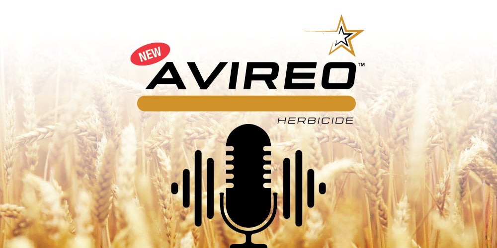 Avireo Podcast Image