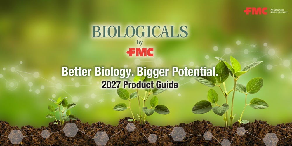 Three healthy growing plants