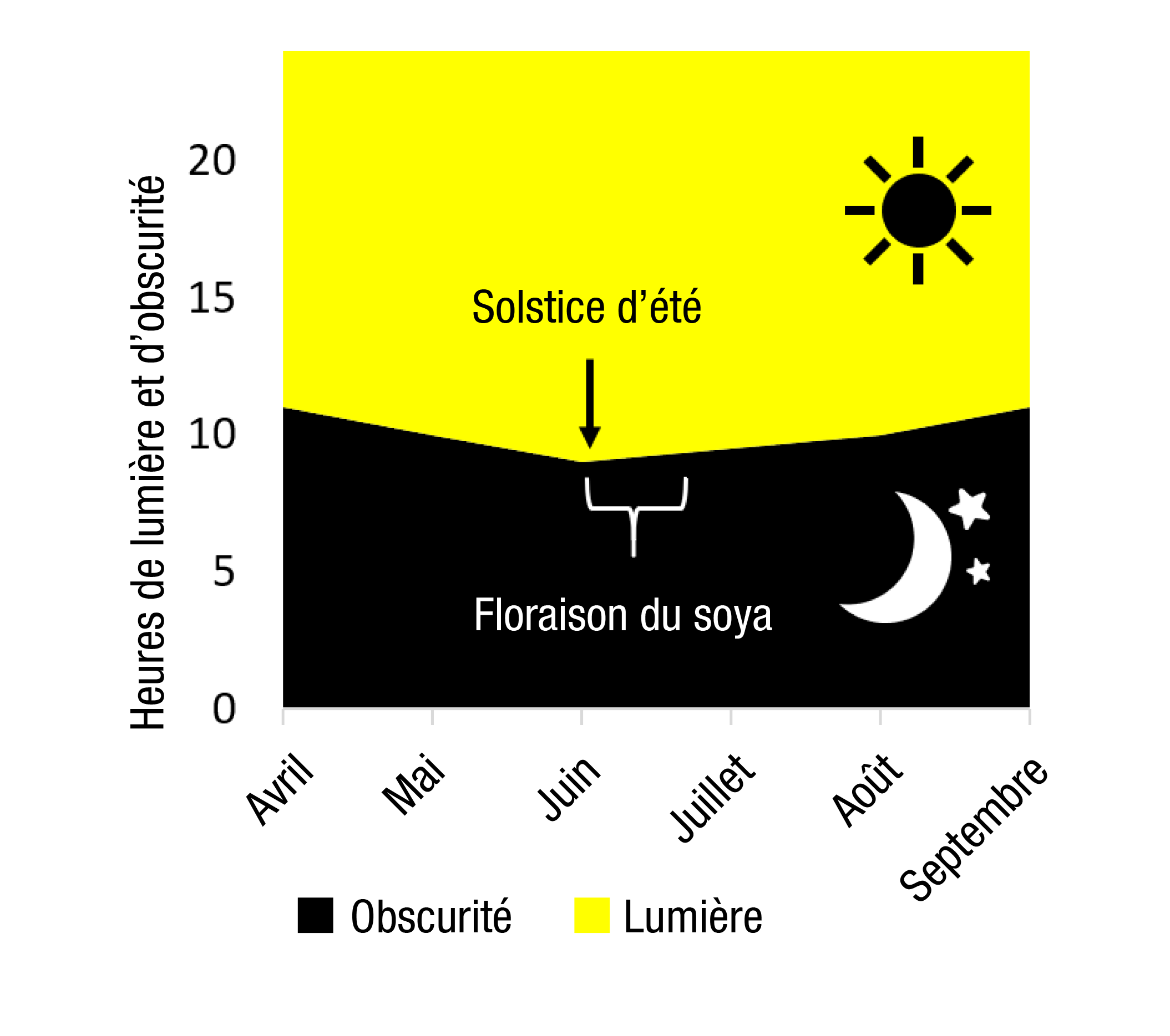 Solstice graph