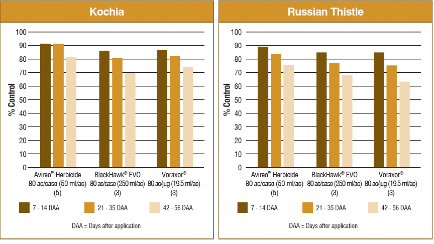 Avireo control graphs